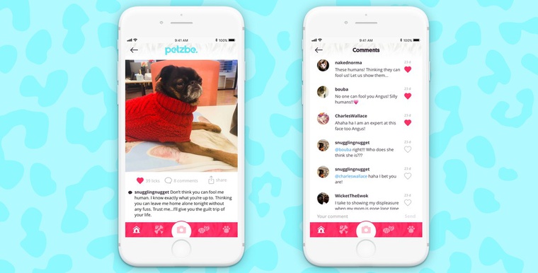 Появился аналог Instagram для животных